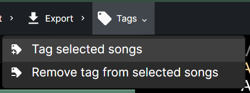 Screenshot showing the selection of songs for tagging.