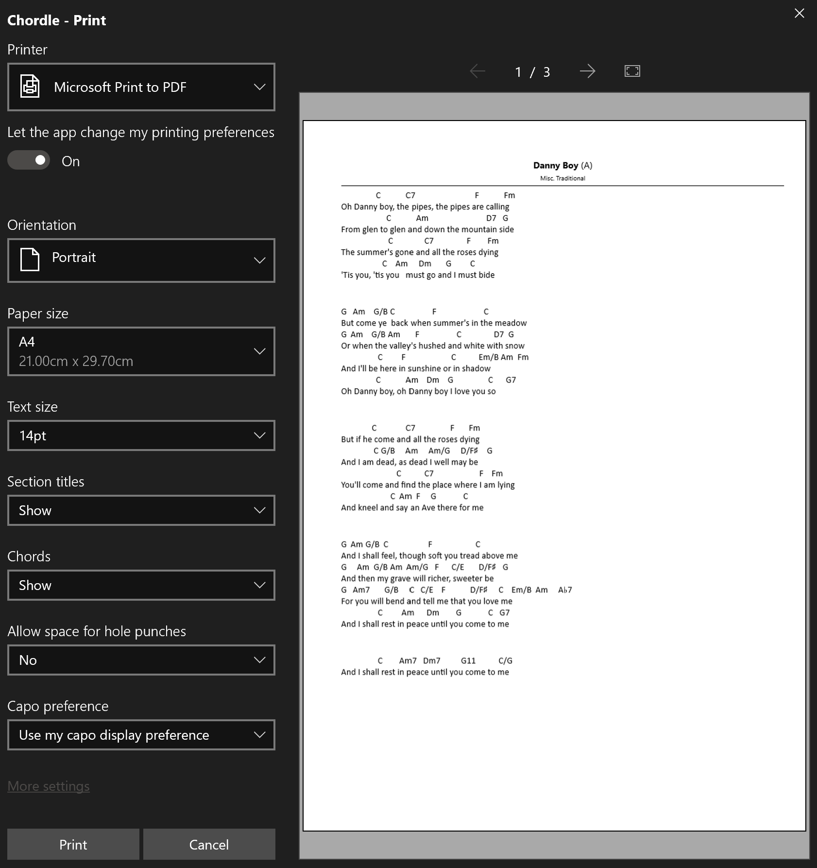 Screenshot showing the print dialog.